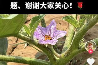 ?炸裂！东契奇首节8分钟8中6&三分5中4砍下16分5板5助